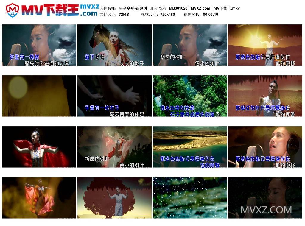 央金卓嘎-祈愿树_国语_流行_MB301628